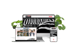 Nieuwe website Zebra camper